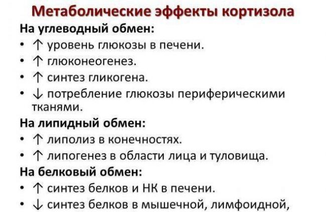 Надпочечники: 3 стадии стресса