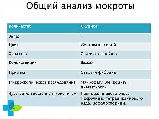 Мокрота при туберкулезе