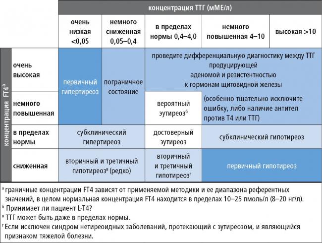 Микседема – тяжелая форма гипотиреоза