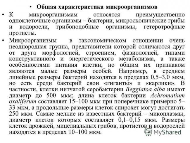 Грибы и их отличия от бактерий
