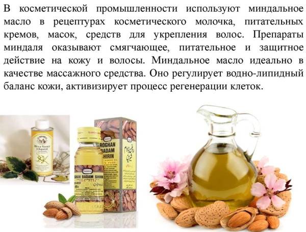 Польза и применение миндального масла в косметологии