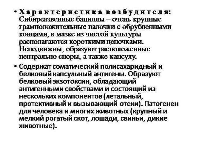 Сибирская язва: возбудитель заболевания, симптомы, лечение и профилактика. фото