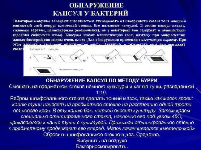 Методы как инструменты изучения бактерий их основных свойств
