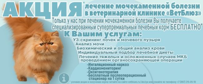 Список таблеток, разбивающие камни в почках