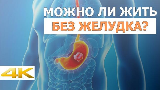 «у меня рак желудка, но я кулинарный маньяк». как повар без желудка начал составлять рецепты для онкобольных людей — такие дела