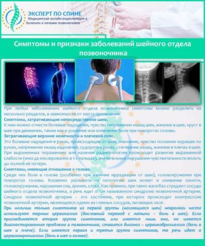 За что отвечает каждый позвонок шейного отдела позвоночника