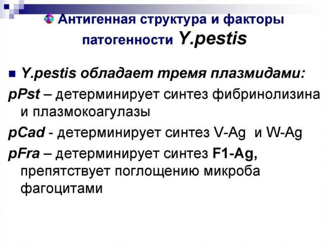 Возбудитель сибирской язвы