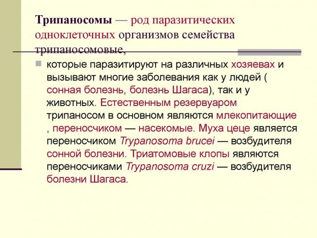 Трипаносома (сонная болезнь): что это, симптомы и лечение