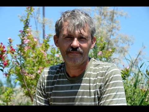 ФАРМАЗИН 200 инструкция по применению