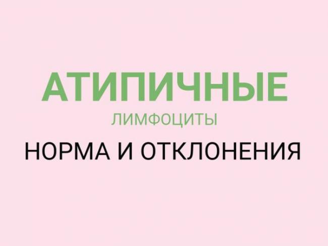 Лимфоциты — википедия с видео // wiki 2