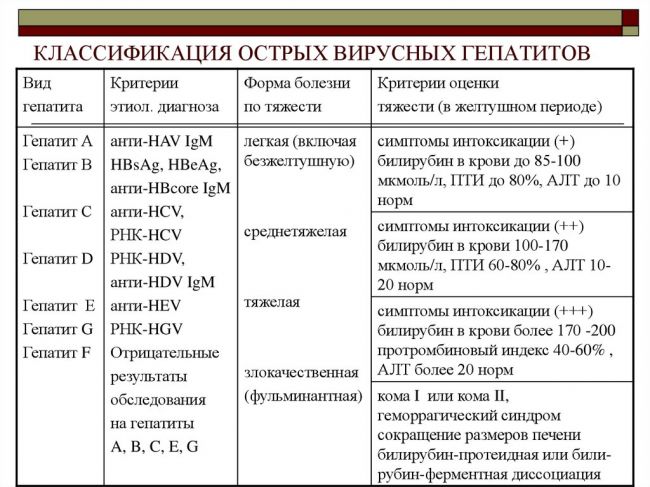 Вирус гепатита а (hav), как передается. фото. видео