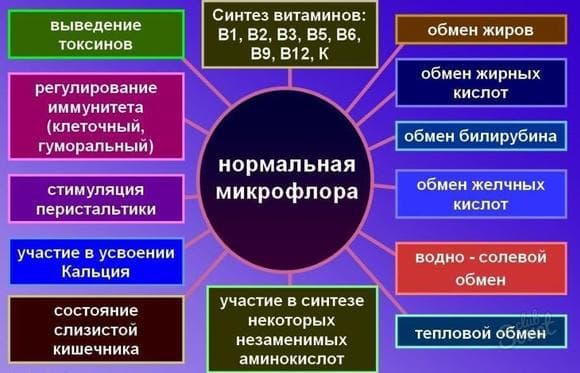 Антибиотики при пневмонии у взрослых: список, эффективность