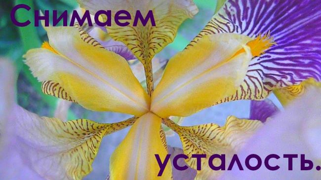 Лечение депрессии. лекарства от депрессии без рецептов. лечебная музыка от депрессии