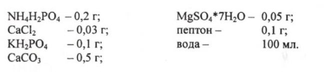 Значение бактерий в природе и жизни человека
