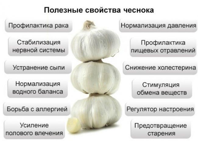 Какие продукты чистят сосуды и кровь от холестериновых бляшек — топ 20