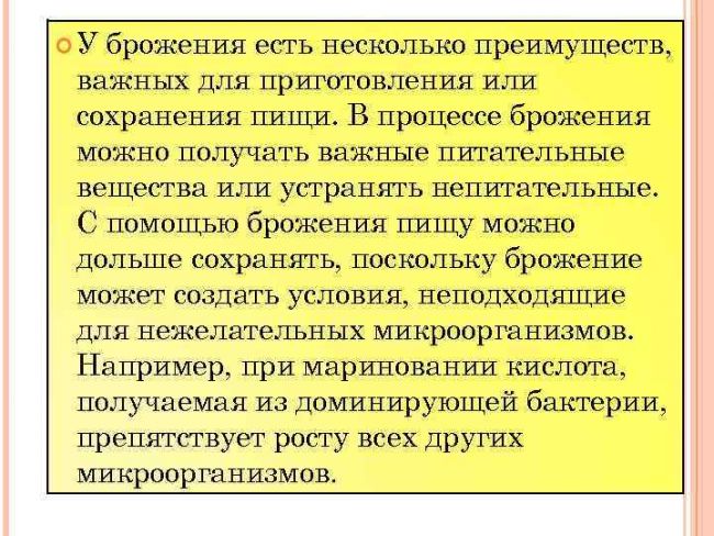 Бактерии