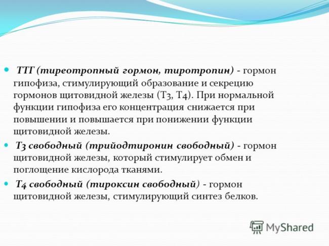 Анализ на гормоны щитовидной железы: расшифровка