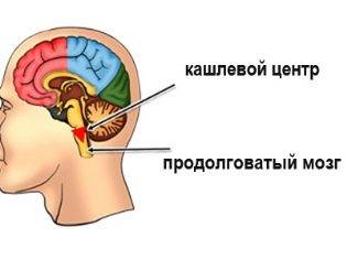 Сироп ренгалин от кашля инструкция по применению для детей и взрослых, аналоги, отзывы
