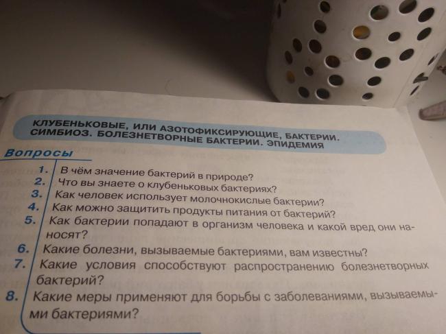 Какова роль гнилостных бактерий в природе и жизни человека