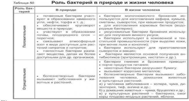 Что важно знать о болезнетворных бактериях, их разновидностях и способах питания