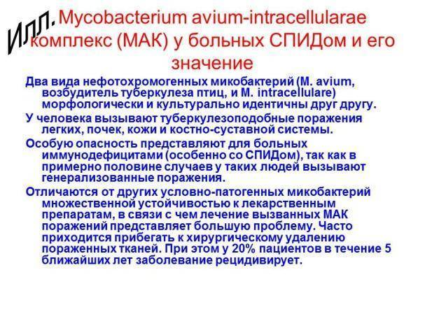 Палочка коха: характеристики бактерии, патогенность, диагностика, лечение