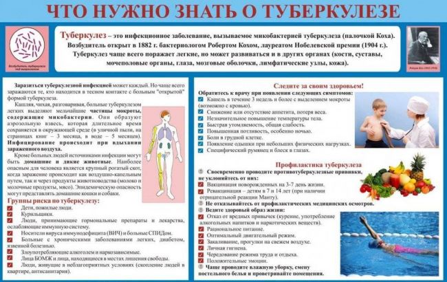 Туберкулез. симптомы, признаки, стадии и лечение у взрослых. народные средства, медикаменты