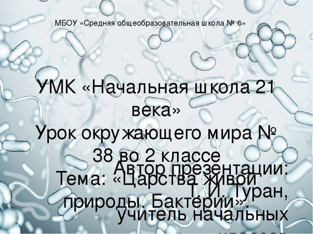 Роль в биосфере живых организмов царства бактерий