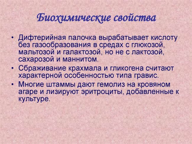 Bacillus subtilis: основные свойства, характеристики, особенности
