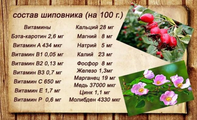 Шиповник порошкообразный польза и вред. чем полезен чай из шиповника. возможность применения при беременности, грудном вскармливании и для детей.