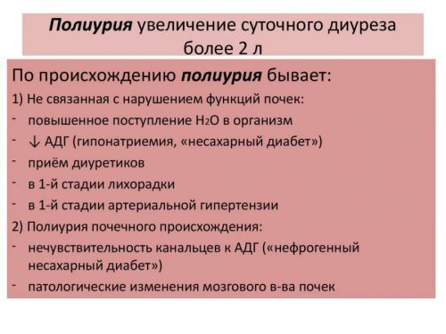 Диурез – виды, норма и патологические показатели