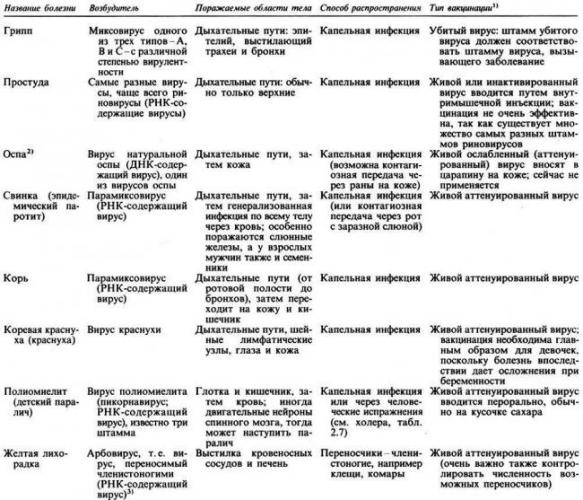 Болезнетворные бактерии: на коже, во рту, в кишечнике. фото грибков и бактерий