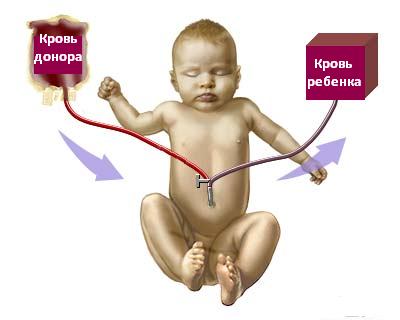 Билирубин в крови