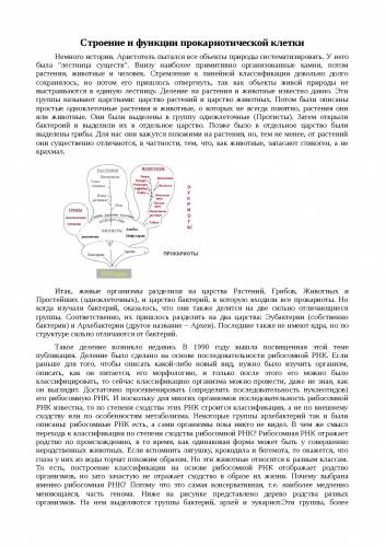 Функции, строение и особенности бактериальной оболочки