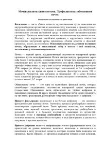 Причины образования кисты в почках, симптомы заболевания, хирургические и народные методы лечения