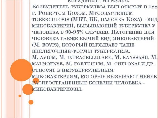 Возбудитель туберкулеза и атипичные микобактерии