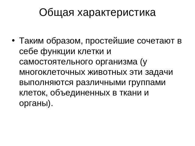 Чем и как отличаются бактерии от простейших