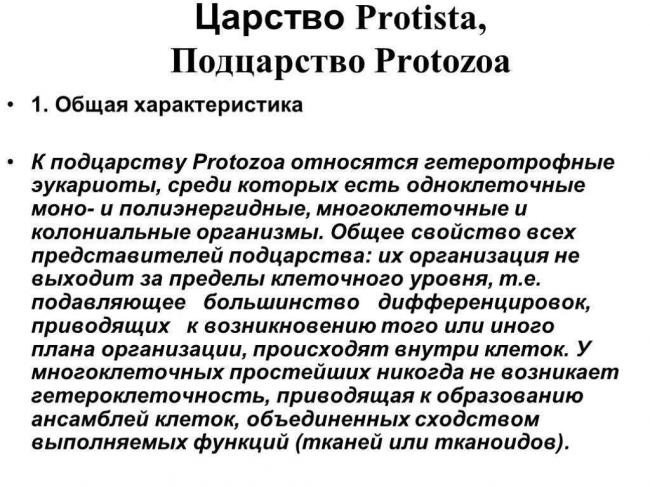 Что общего и какие различия между клетками растений, грибов, бактерий и животных?