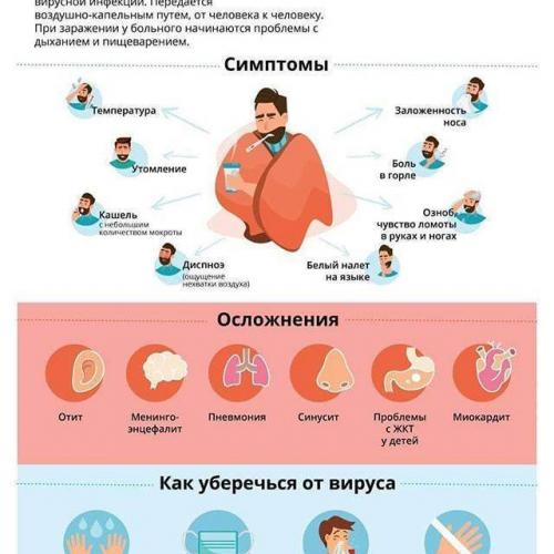 Болезнетворные бактерии: на коже, во рту, в кишечнике. фото грибков и бактерий