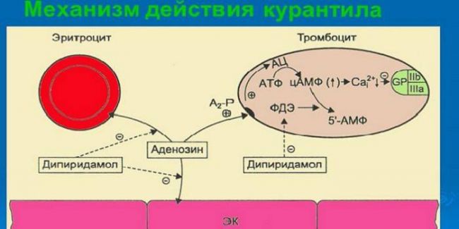 Свечи Релиф инструкция по применению и отзывы покупателей