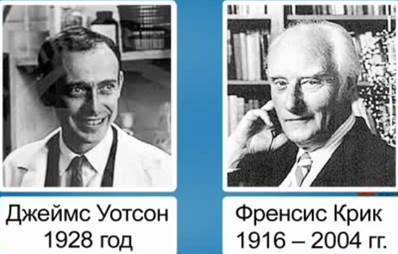 Экспрессия в клетках бактерий рекомбинантных днк