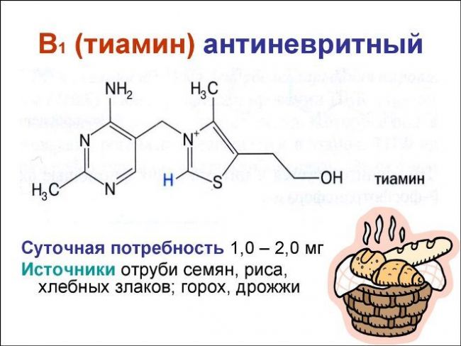 Витамин b1, его функции и источники