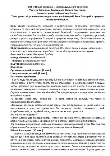Роль бактерий в природе и жизни человека