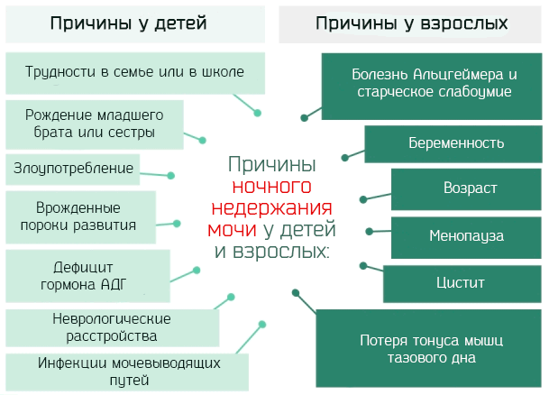 Энурез. ночной энурез у детей, подростков и взрослых – причины и лечение. :: polismed.com
