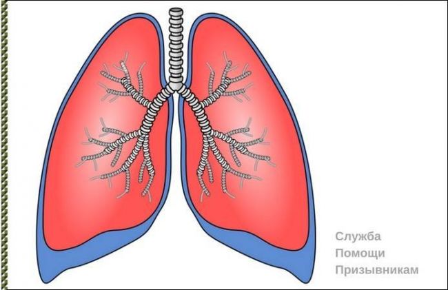 Дыхательные упражнения при астме: для отхождения мокроты, специальная гимнастика по методикам стрельниковой, бутейко, видео