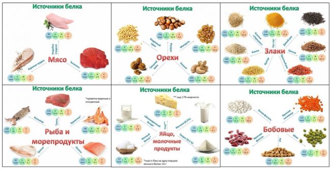 Программы питания