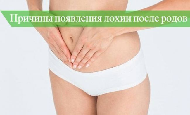 Информация о лохиях, которая будет полезна молодой маме