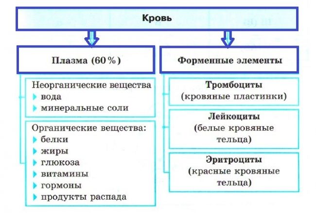 Кровь. внутренняя среда - биология егэ