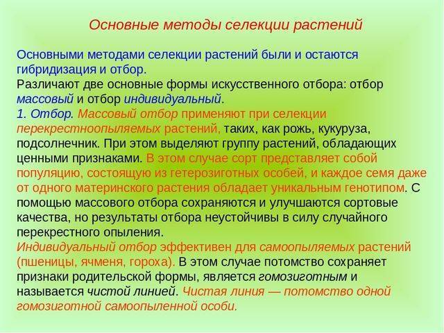 Строение и классификация простейших одноклеточных организмов