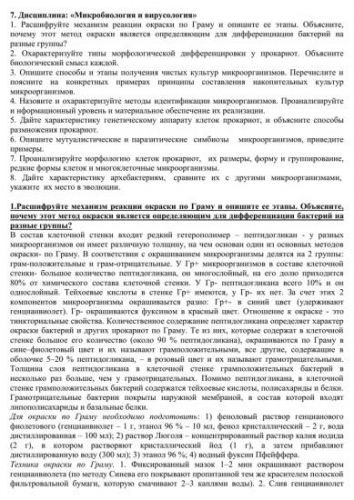 Отличительные черты положительно и отрицательно окрашенных бактерий по граму