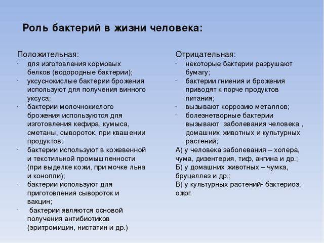 Как бактерии заботятся о жизни на планете, их значение